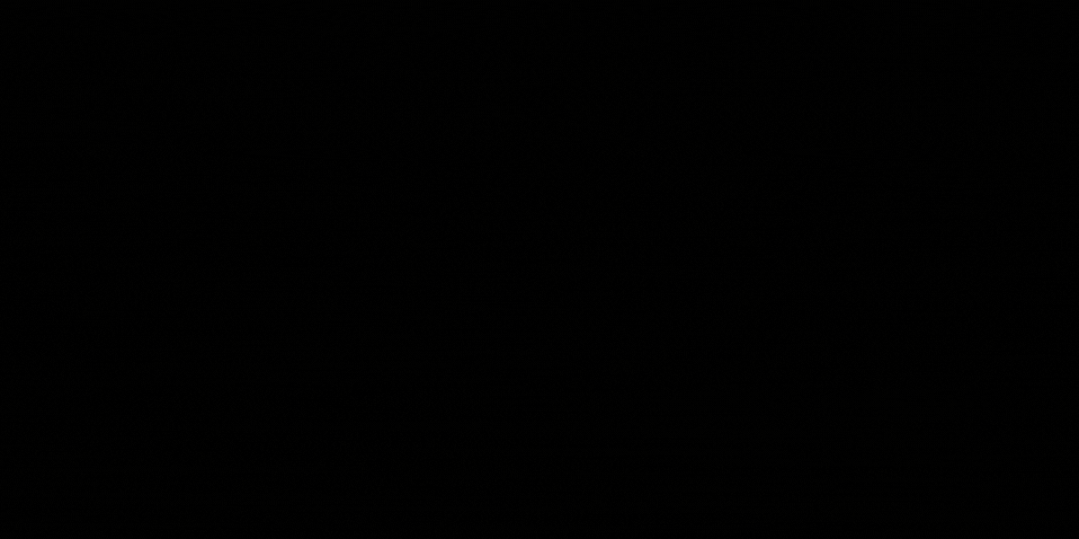 Black Friday Sale 2024