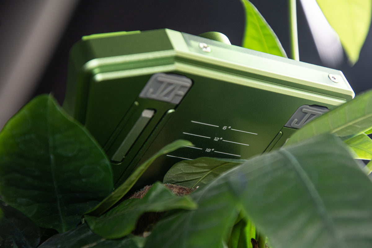 Green — photo 3