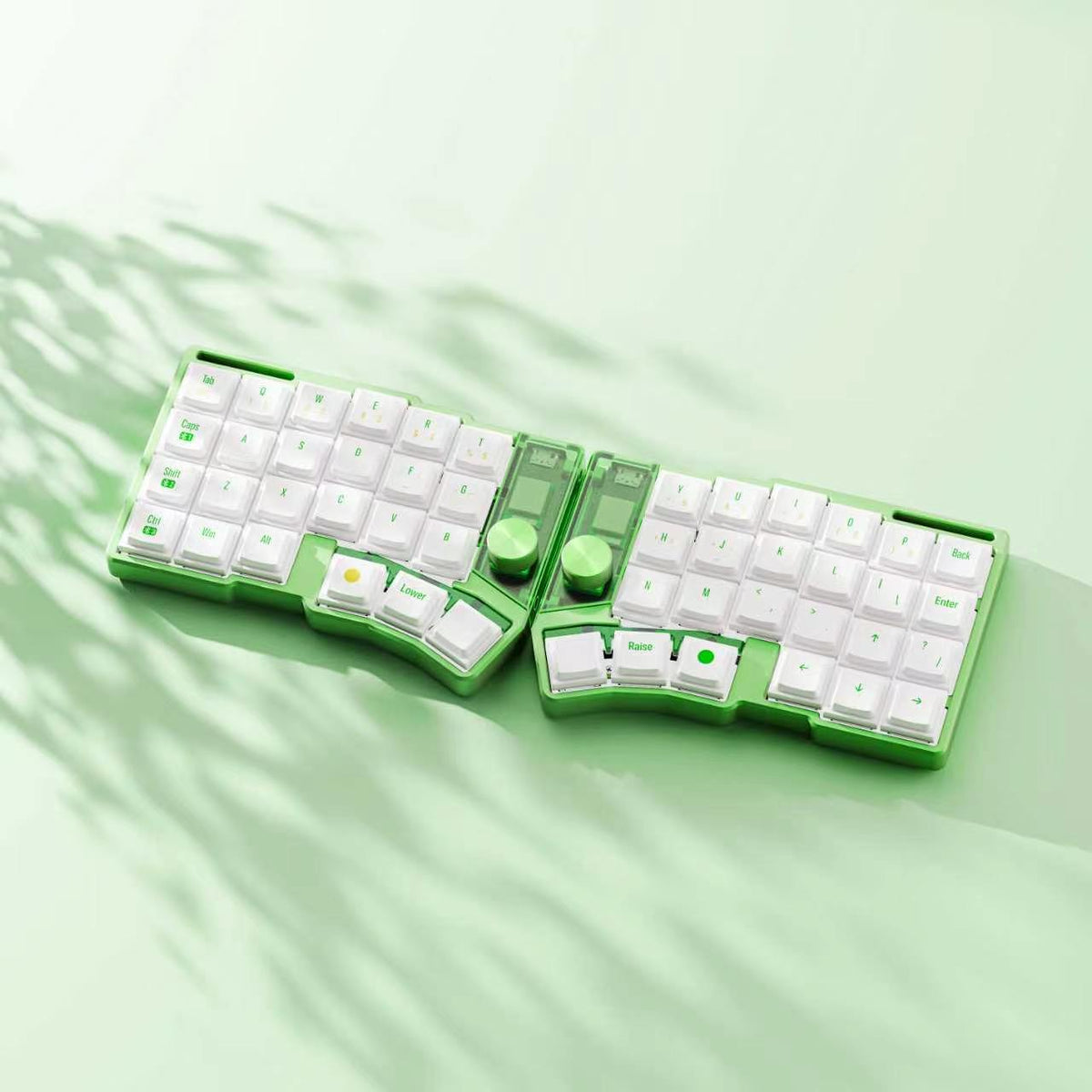 Green — photo 4