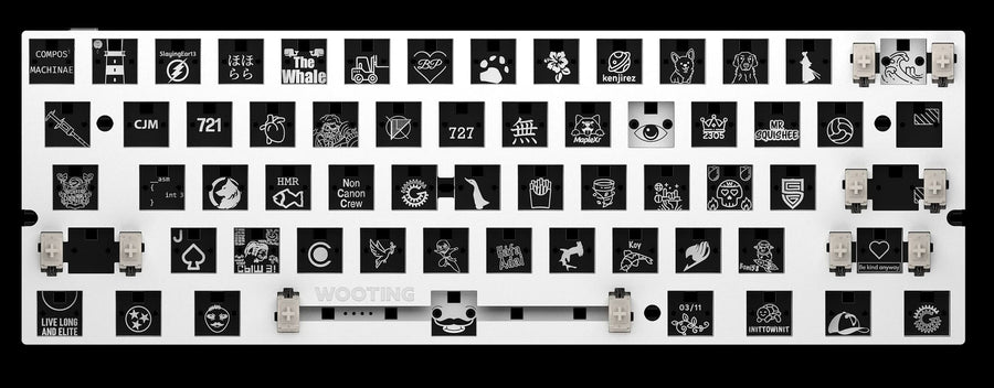 Wooting 60HE+ Module