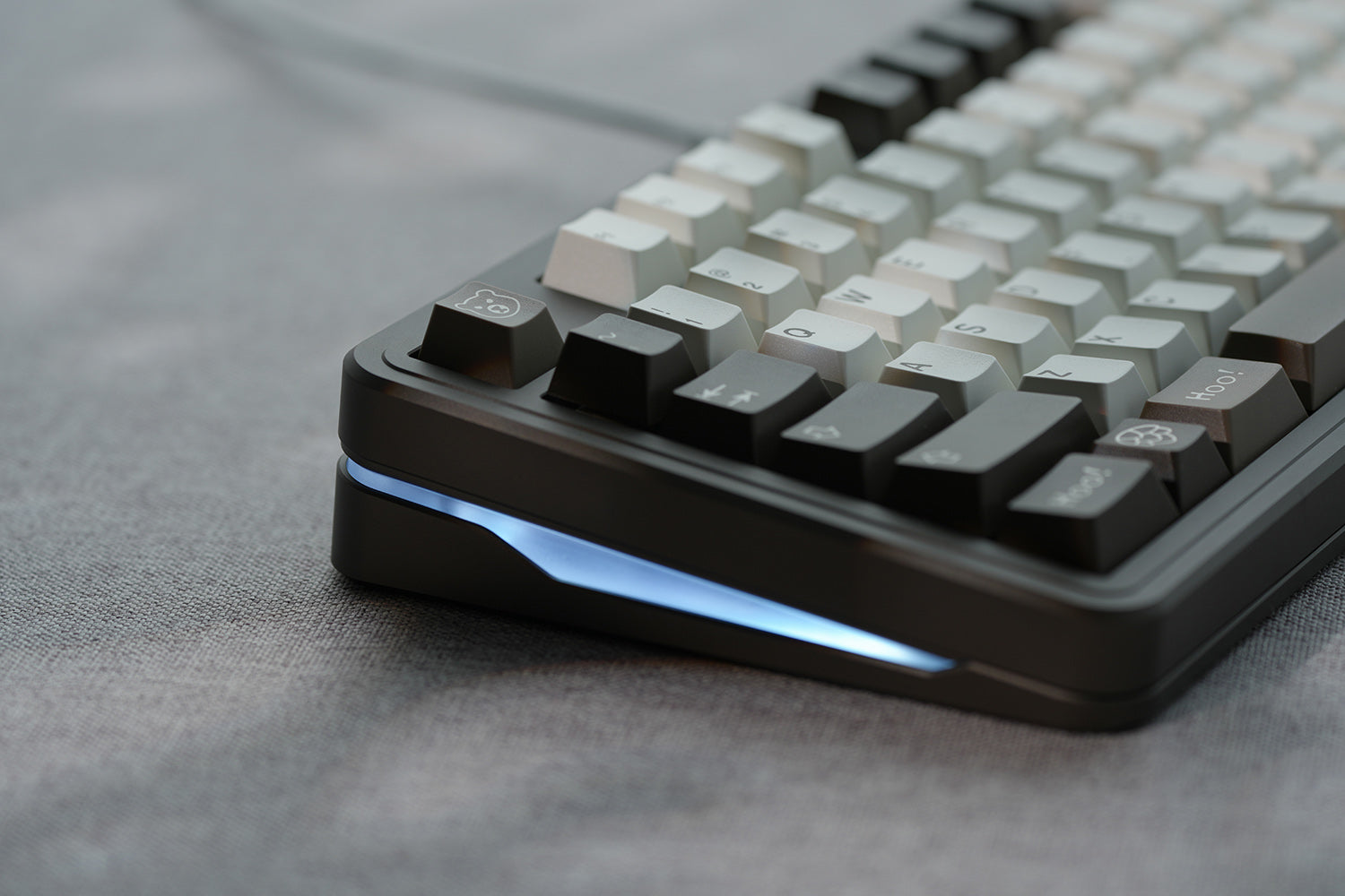 qwertyqop
