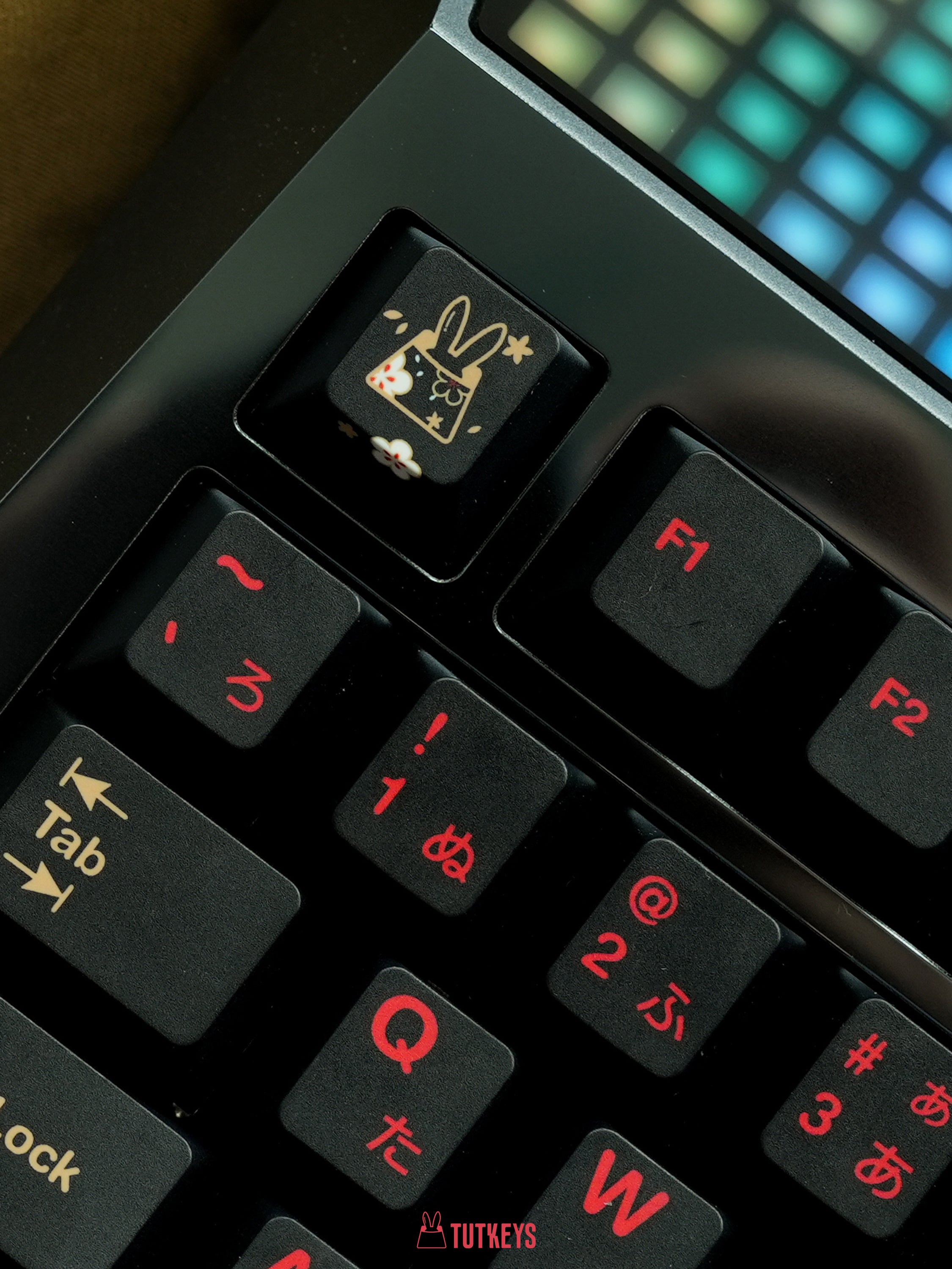 qwertyqop