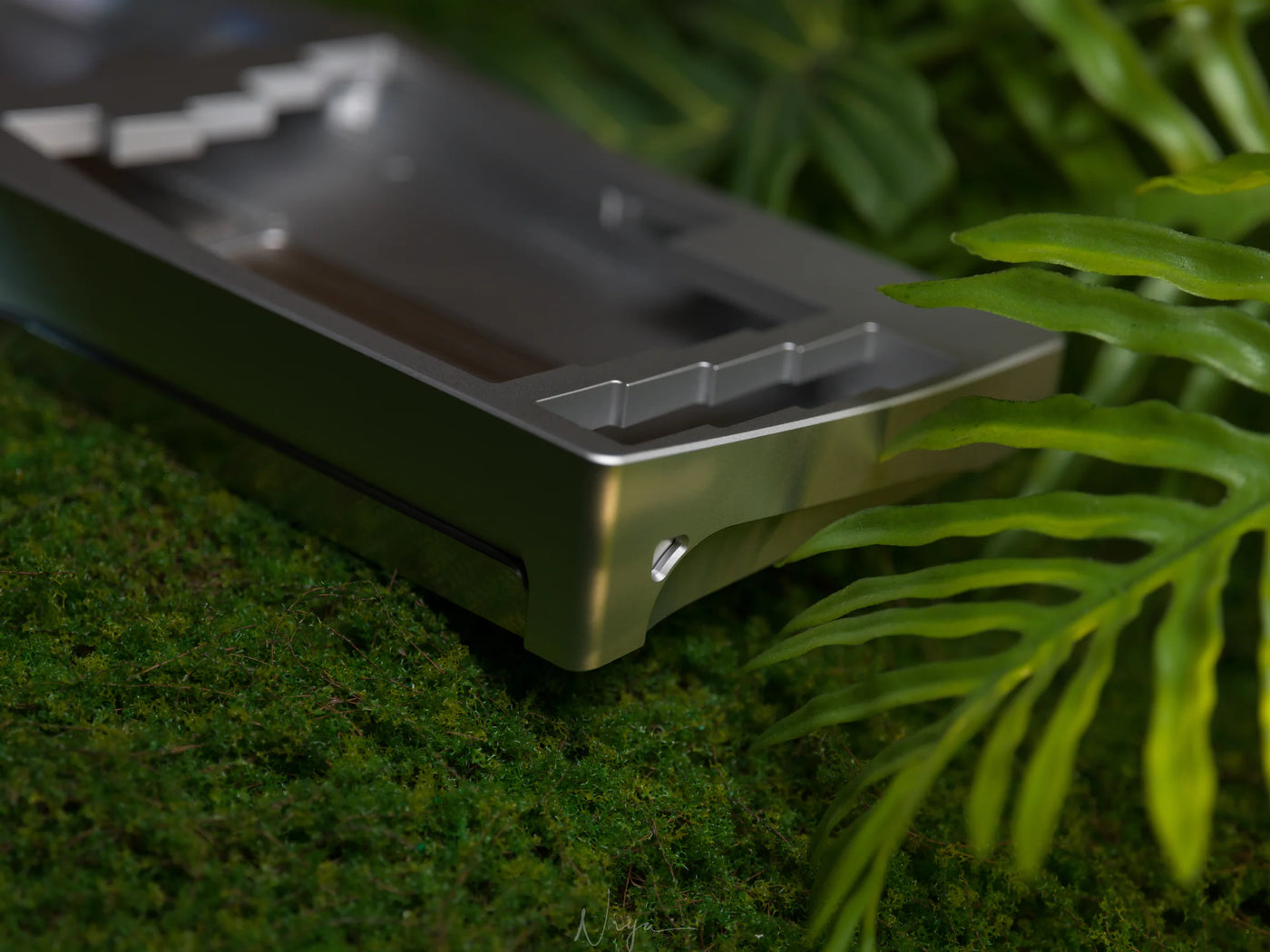 Silver — photo 4