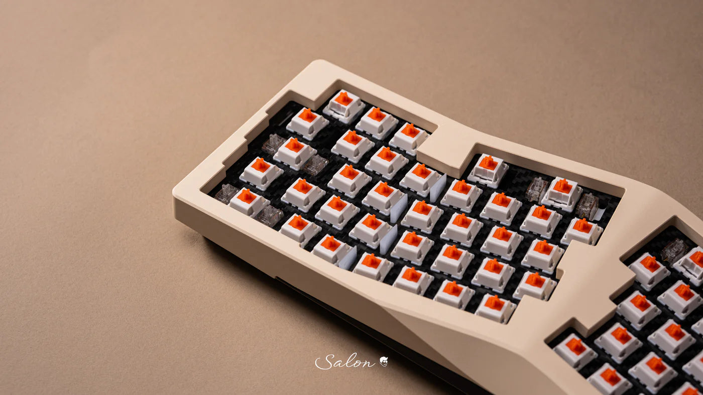 Salmon Reborn Switch