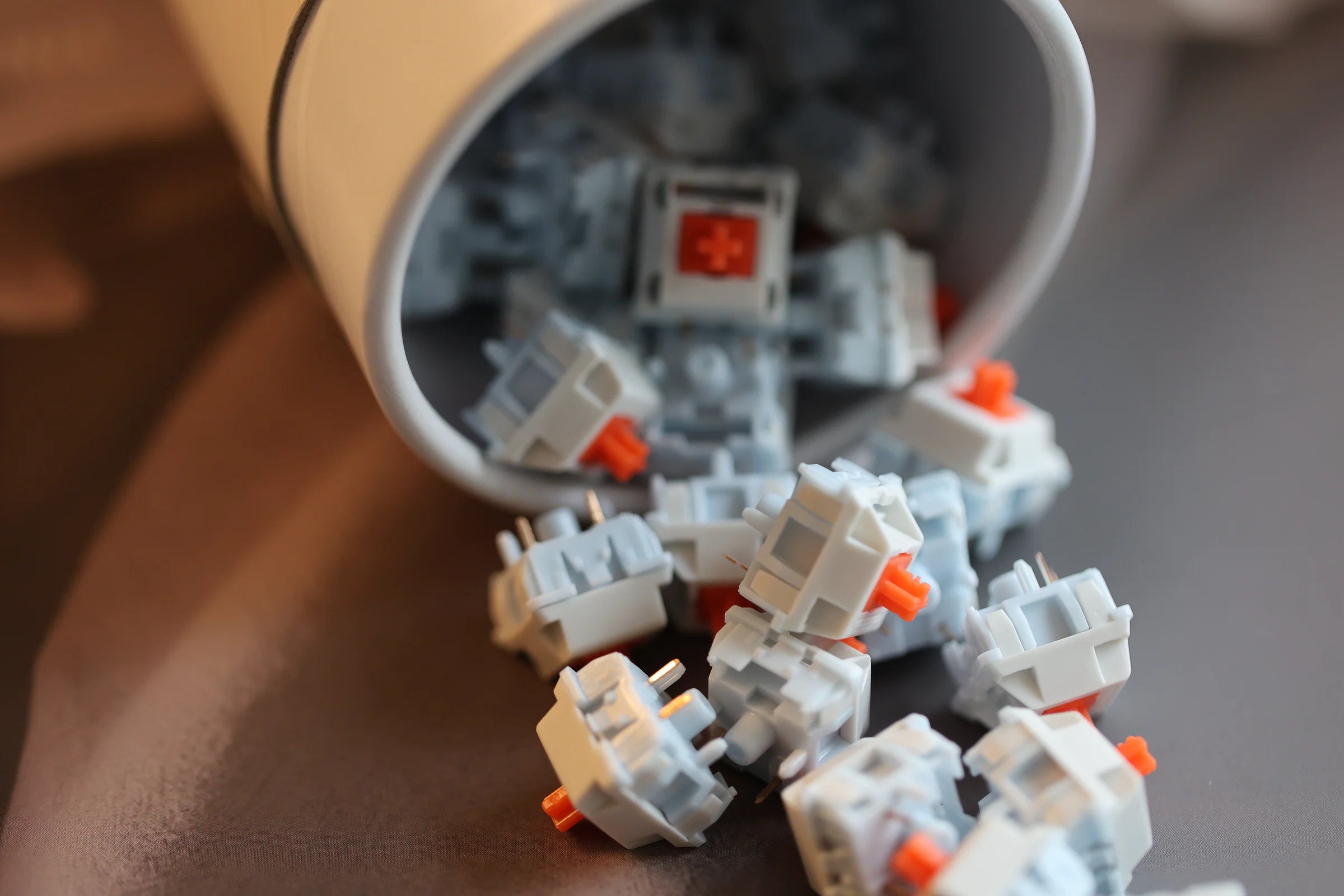 Salmon Reborn Switch