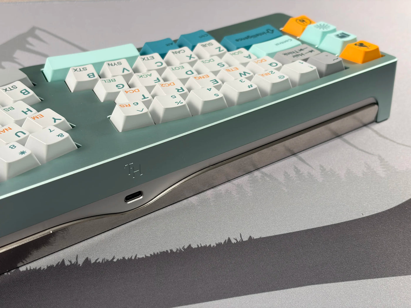 Mint — photo 5