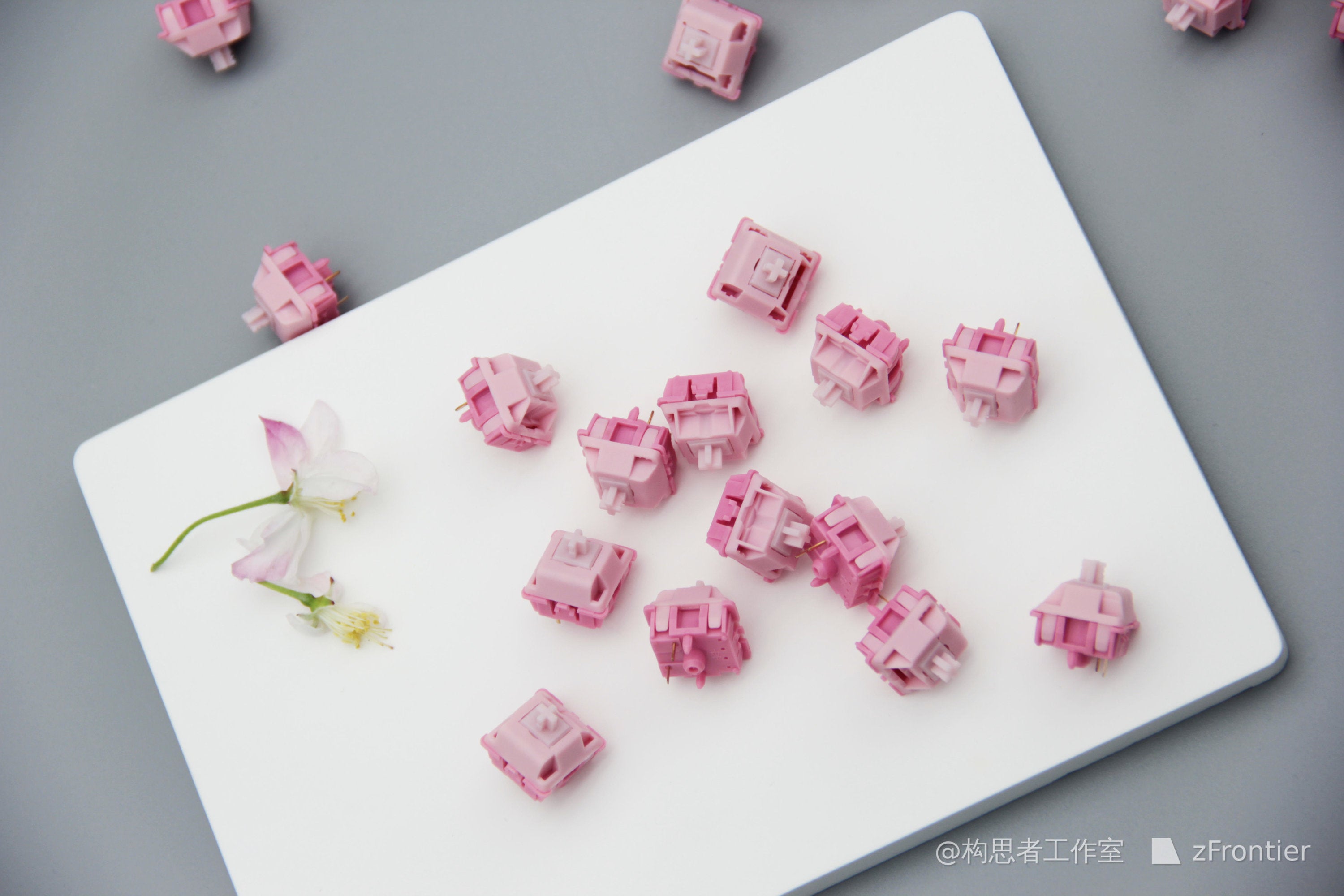 피치 블룸 스위치